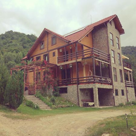 Cabana Soarelui Retezat Nucsoara  Екстериор снимка