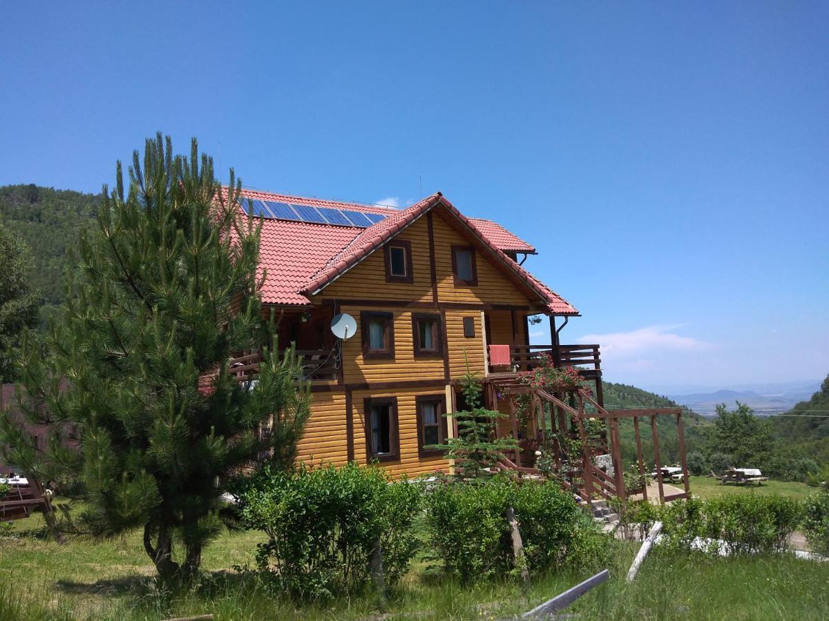 Cabana Soarelui Retezat Nucsoara  Екстериор снимка