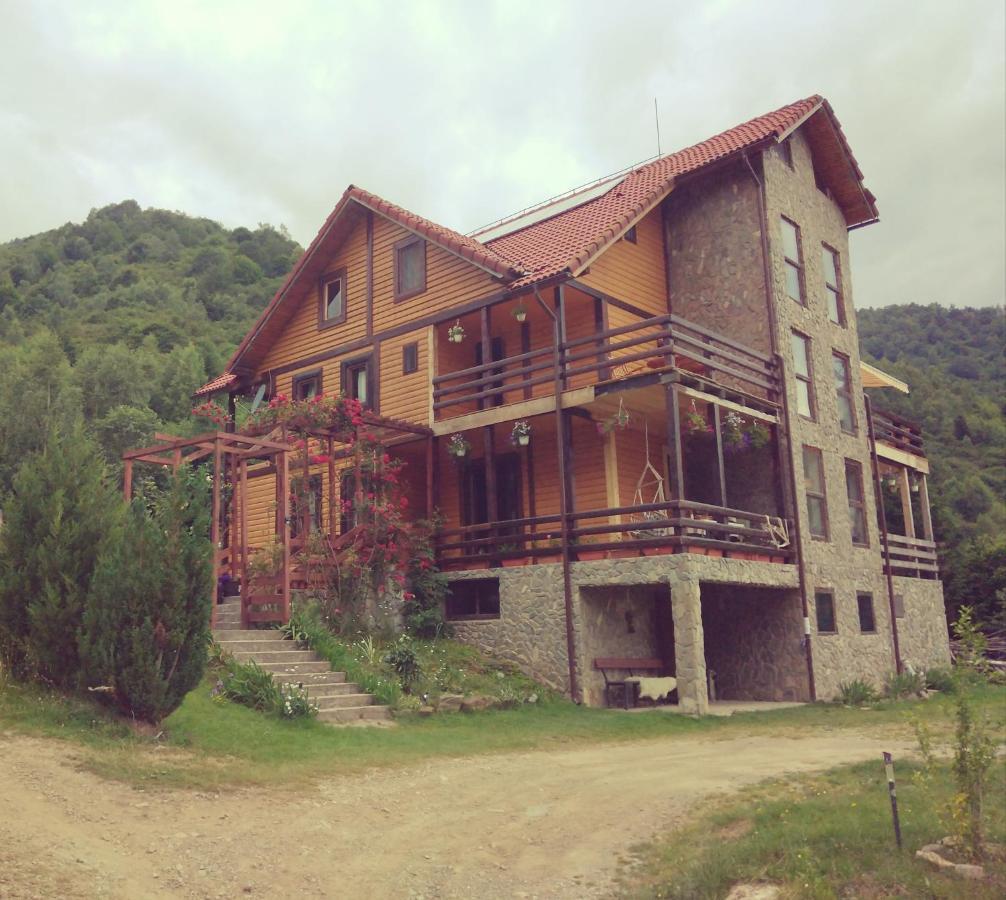 Cabana Soarelui Retezat Nucsoara  Екстериор снимка