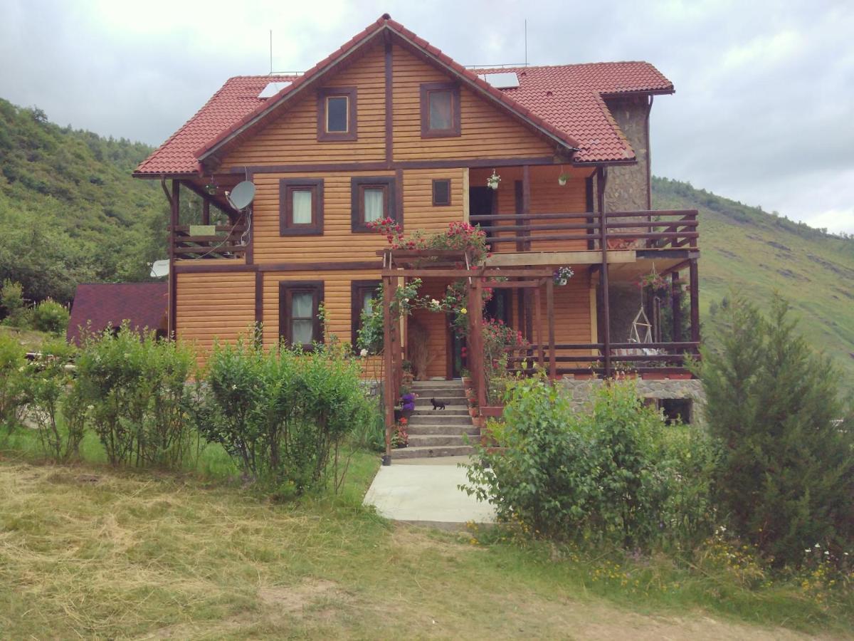 Cabana Soarelui Retezat Nucsoara  Екстериор снимка